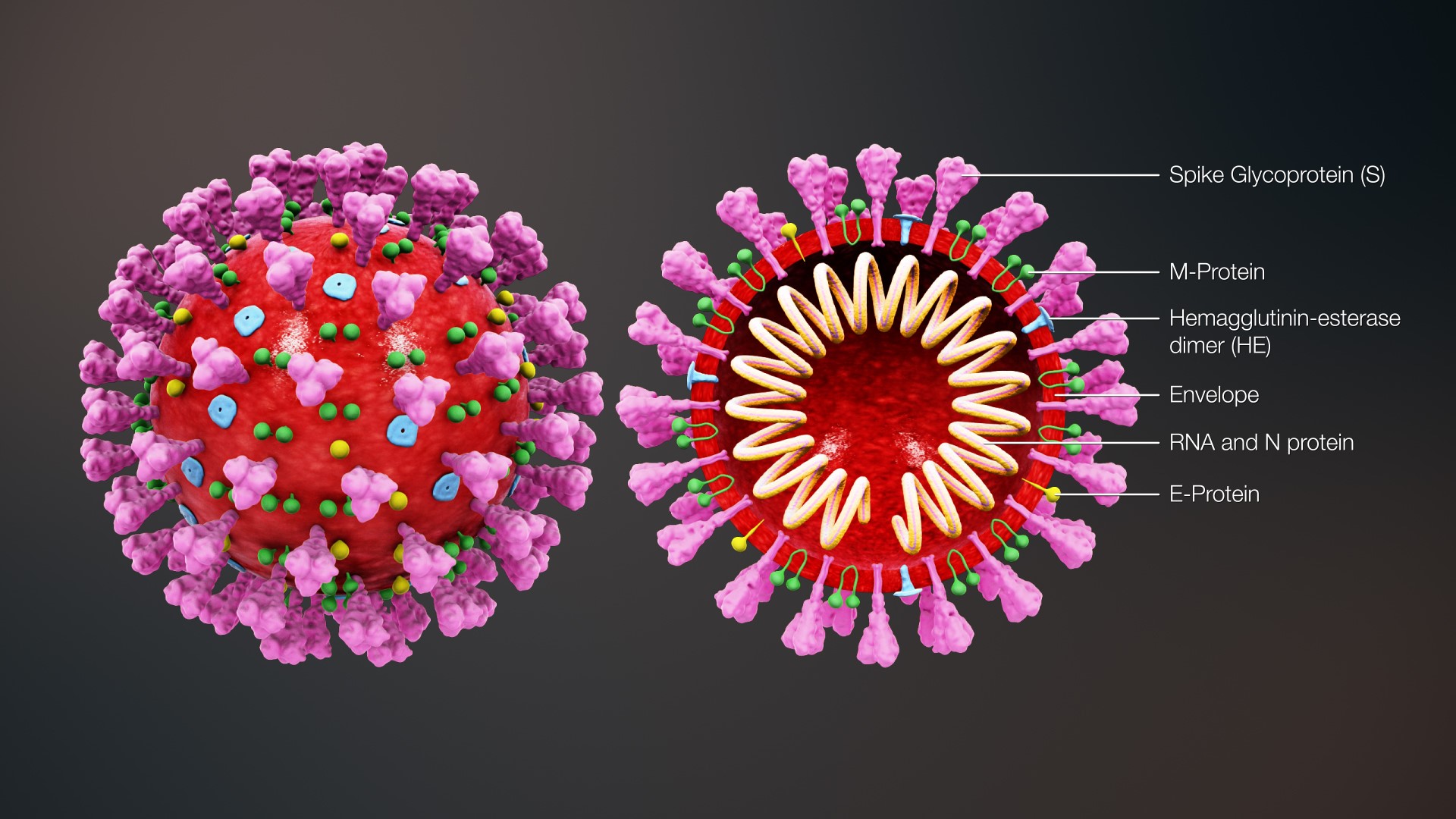 Interactive Model Explores How Different Interventions Affect Covid Spread All Images Nsf